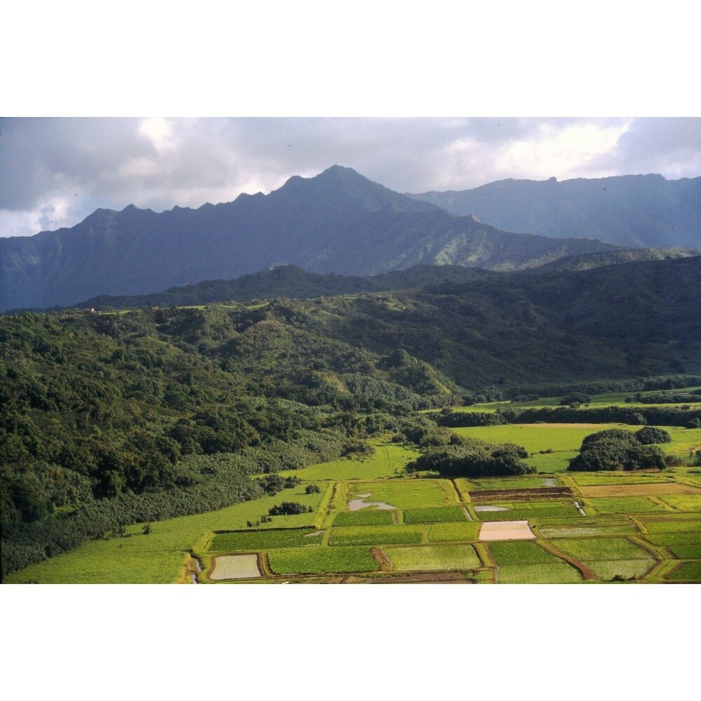 Original 1996 35mm Slide, "Hanalei Valley Lookout" , Kauai, Hawaii